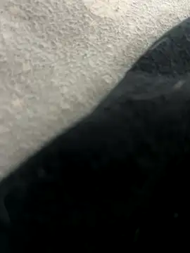 qazsazx live sex cam