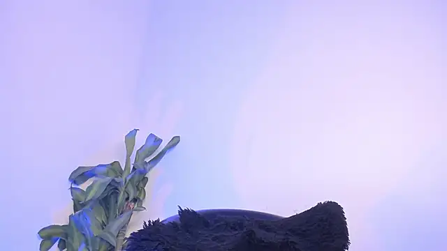 Lucy_shen_ live sex cam