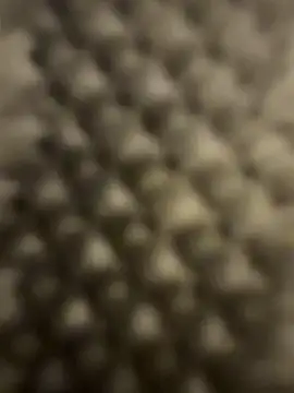 Jwr2316_TX live sex cam
