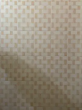 rajasexy881801 live sex cam