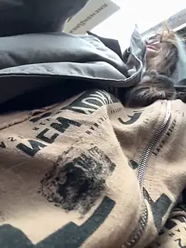 NikaMur live sex cam