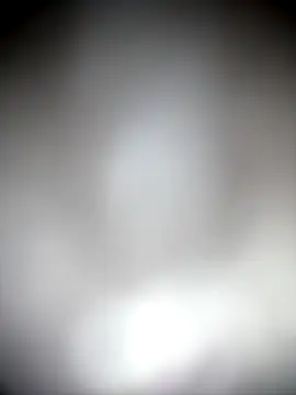 houseforsex live sex cam