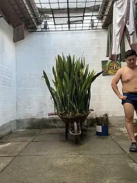 oliver_price1 live sex cam