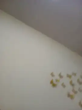 Mia-mrocia live sex cam