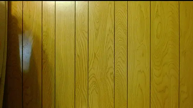 snickers1 live sex cam