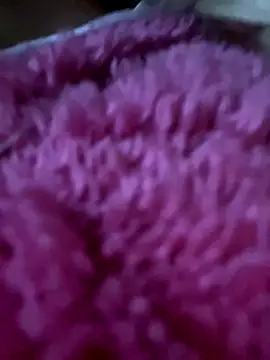 blissdimicco live sex cam