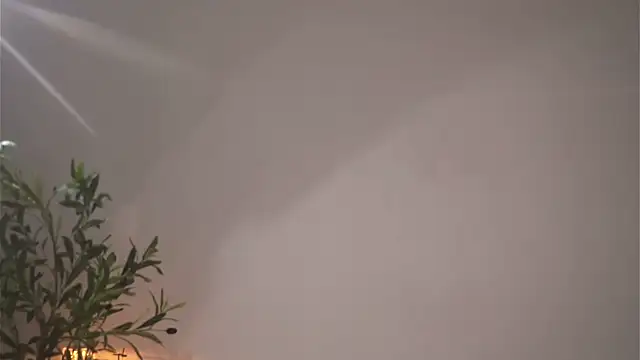alittlestarrr live sex cam