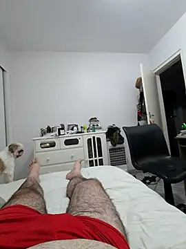 MysterBearMG live sex cam