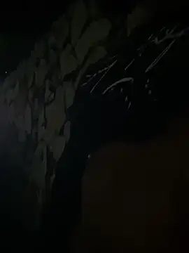 Dasul_ live sex cam
