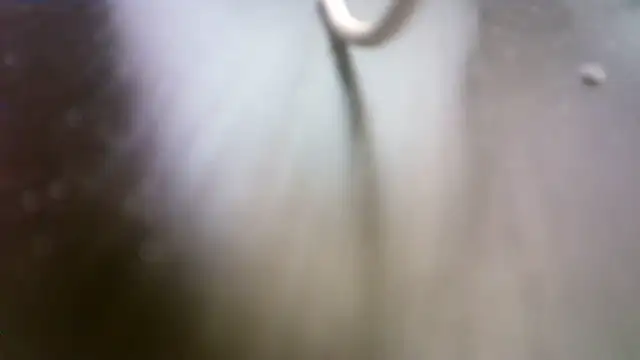 pau65vb live sex cam