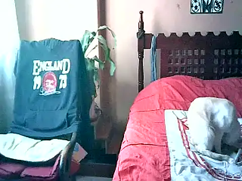 2mgars live sex cam