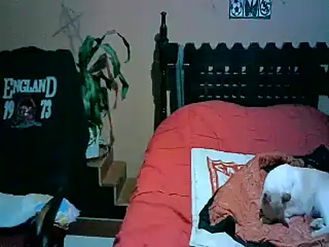 2mgars live sex cam