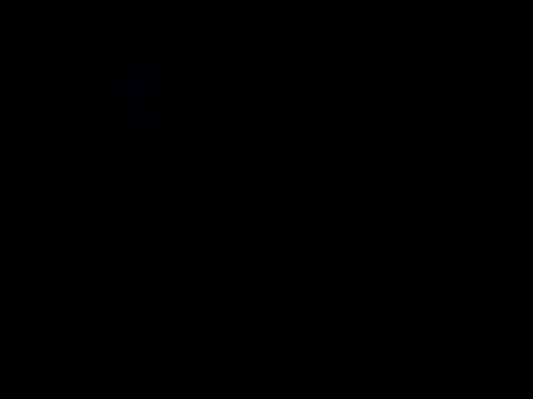 Sdcturkey live sex cam