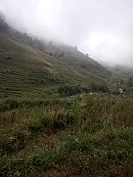 Dung-Thao19 live sex cam