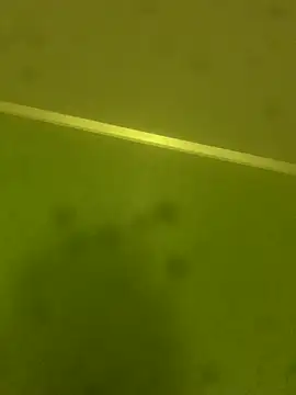 solomec live sex cam