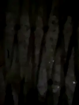 boydamcuto live sex cam