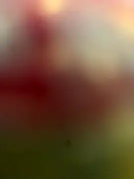 xiaoqiao_ss live sex cam