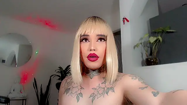 little_star_porn live sex cam