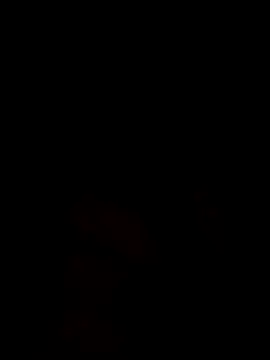 Saysomething3 live sex cam