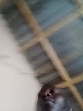 Africanawty live sex cam