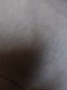 Srmotrs live sex cam