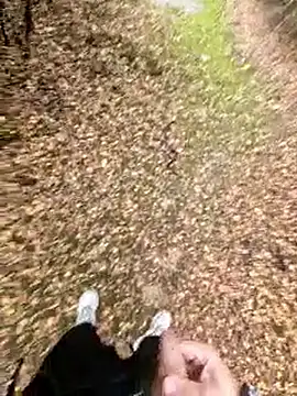 mrDEV1L live sex cam