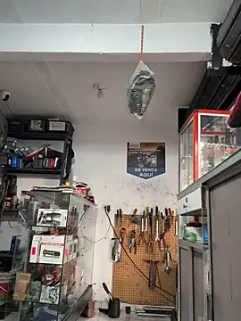 Paul22cm- live sex cam