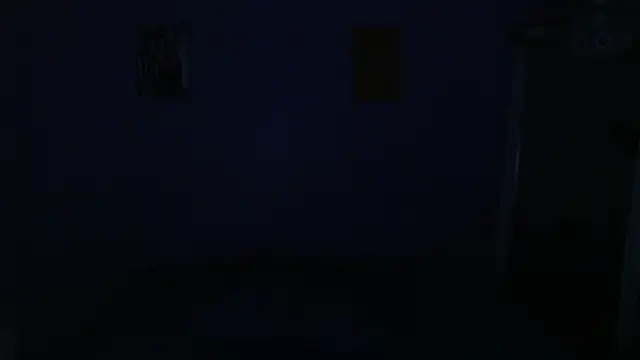 onixandghosty1 live sex cam