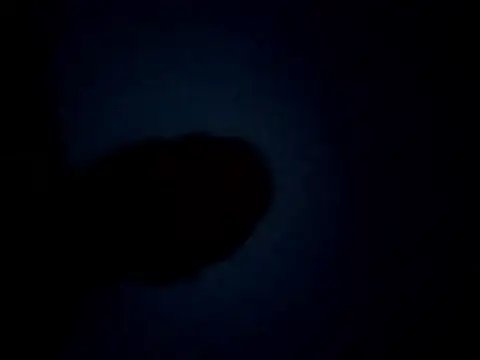 Feistysausage live sex cam