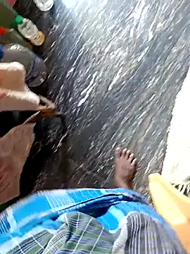 dolphiinn live sex cam