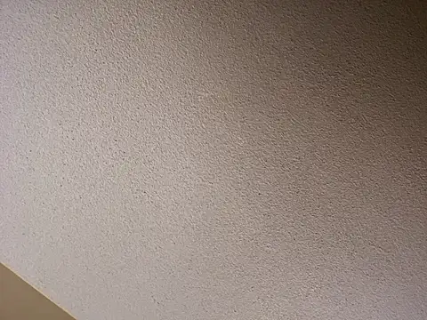 Roddog18 live sex cam