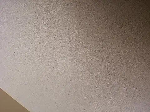 Roddog18 live sex cam