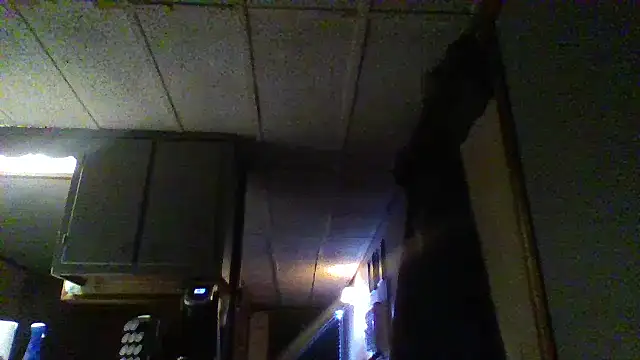 zaneporter46 live sex cam