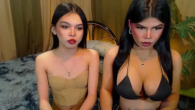 TWINKTRANSSHANEL live sex cam