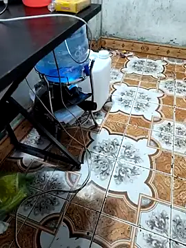 pusi_xinh's web cam