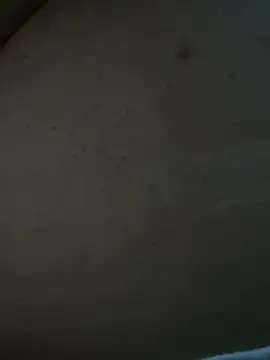 DianaNatur's web cam