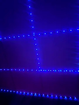 GenitalWars's web cam