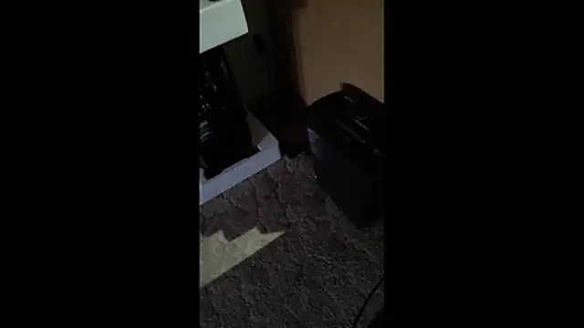Nacktpenis live sex cam