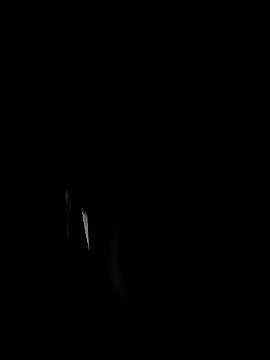 Dani156y live sex cam