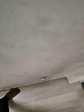 samlord261 live sex cam