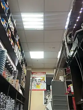 AlishaOfThorns live sex cam