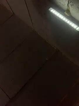Boysex227 live sex cam
