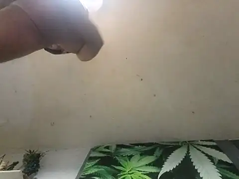 tokeNcum2pnp2 live sex cam