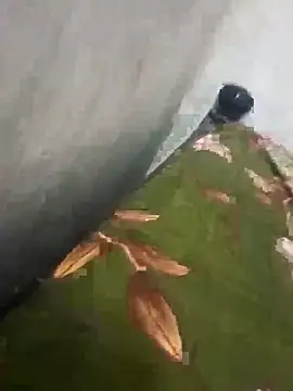 fuckraju's web cam