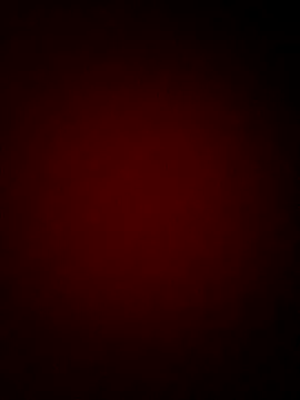DashBang's web cam