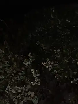 Winona88 live sex cam