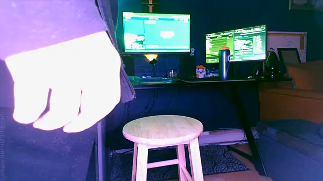 timsefs's web cam