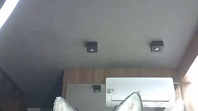 SkinnyKitten live sex cam