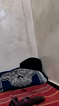 trans511 live sex cam