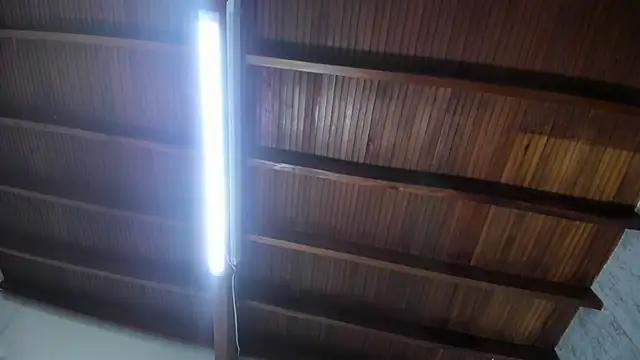 Lauran_Xe's cam snapshot